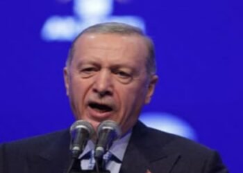 গাজাকে নিজ পায়ে দাঁড় করাতে যা প্রয়োজন সব করবে তুরস্ক, বড় ঘোষণা এরদোগানের