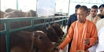 উত্তরপ্রদেশে স্কুলের সিলেবাসে এবার ঠাঁই পাবে গরুর অবদান, জানালেন মন্ত্রী