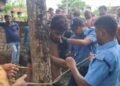 উত্ত্যক্ত করার অভিযোগে যুবককে গাছে বেঁধে রাখল গ্রামবাসীরা, উত্তেজনা ছড়াল নওদাপাড়ায়